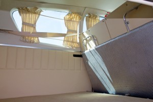 Cougar web-01